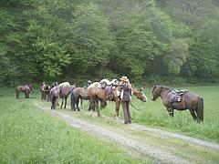 Routenvorschläge für Hunsrück zu Pferd